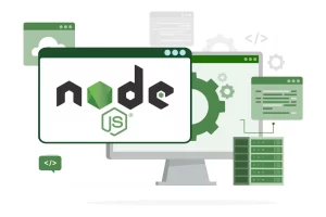 node js aplication custom development